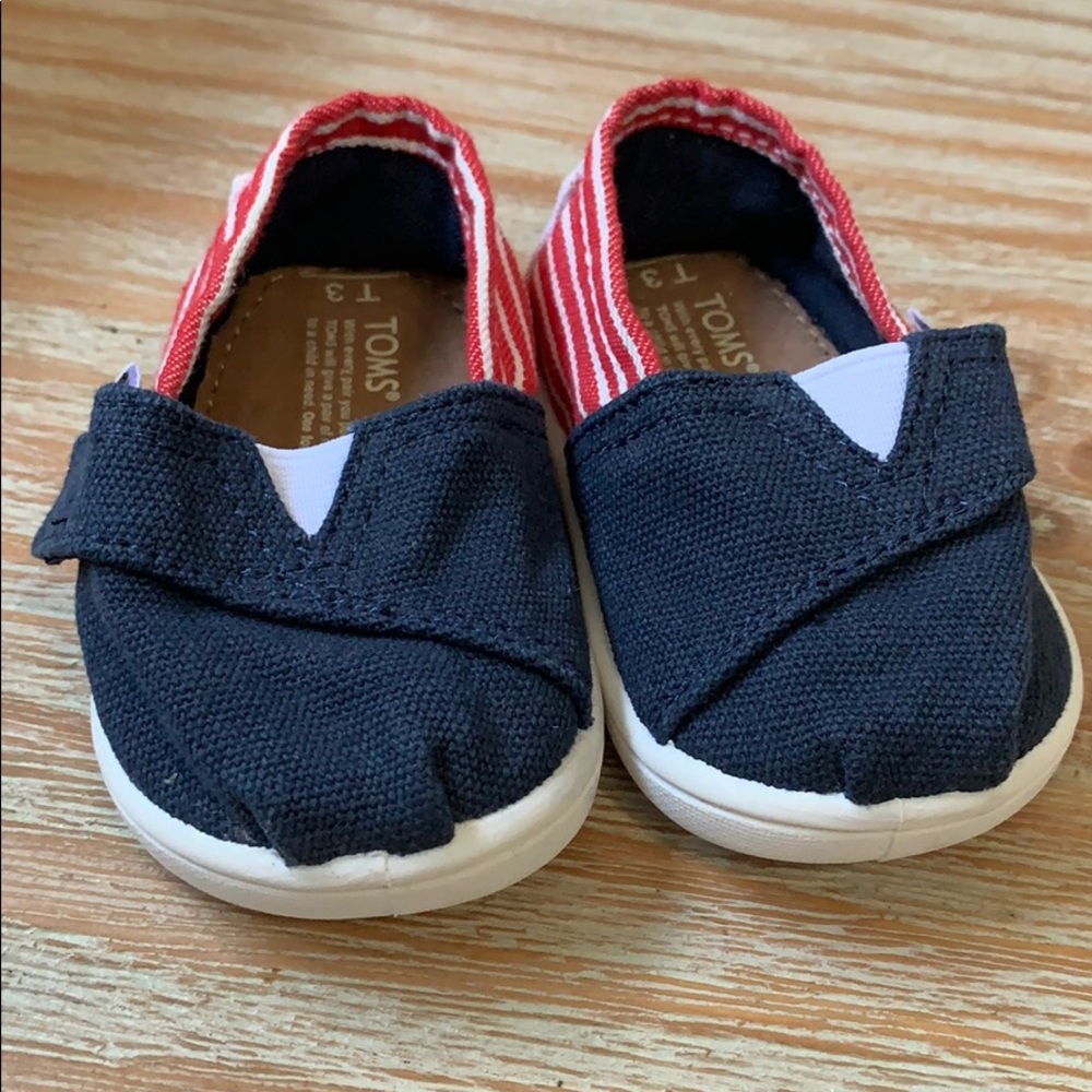 Infant American Toms!